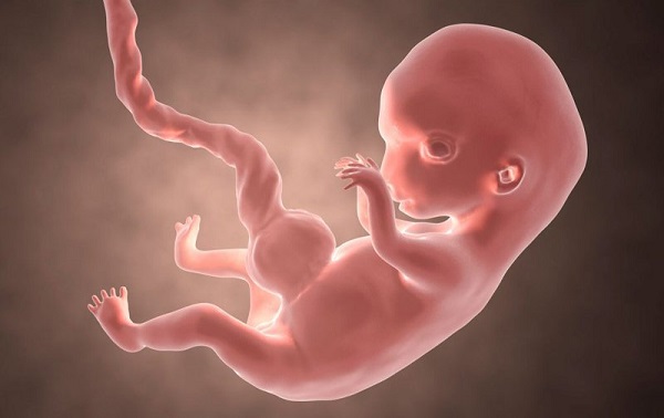 thai 9 tuần phát triển như thế nào